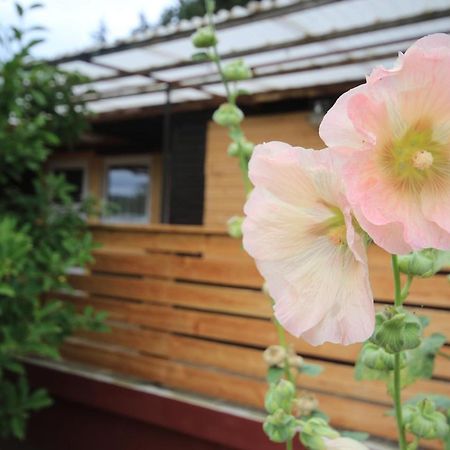 Ferienhaus Am Wald 塔巴赫迪萨兹 外观 照片